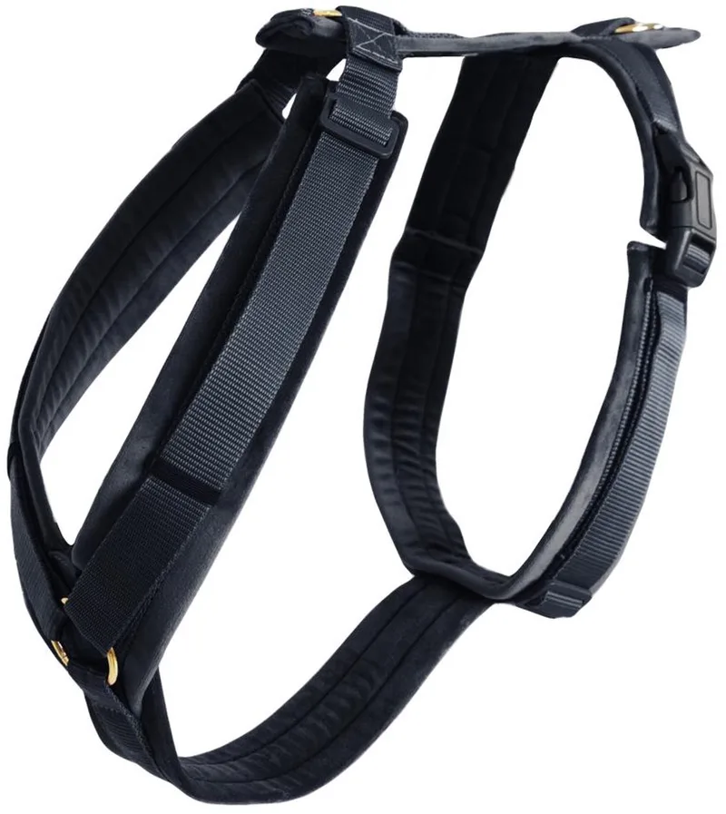 Dogwear - Hondenharnas - Maat L - Velvet - Hondentuig - 38-58 cm från Kentucky Horsewear i Svart – produktbild