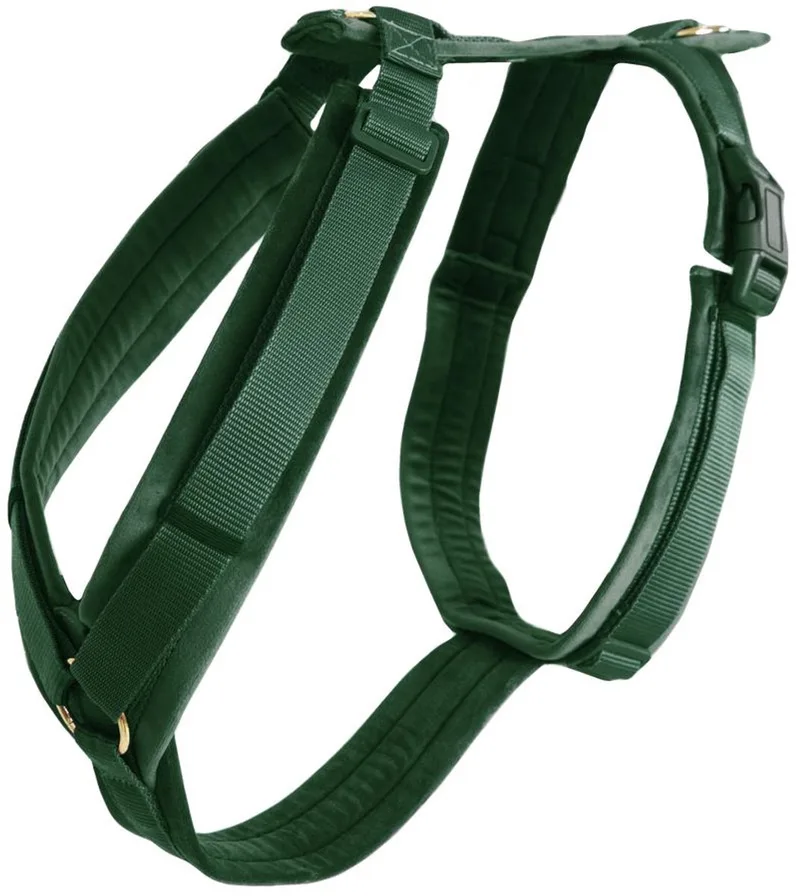 Dogwear - Hondenharnas - Maat XL - Velvet - Hondentuig - 48-70 cm de Kentucky Horsewear en Dennengroen – photo produit