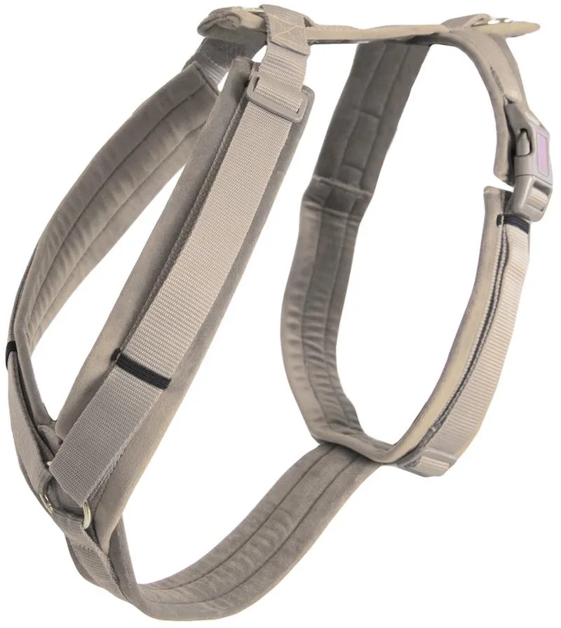 Dogwear - Hondenharnas - Maat XXS - Velvet - Hondentuig - 14-22 cm de Kentucky Horsewear en Beige – photo produit