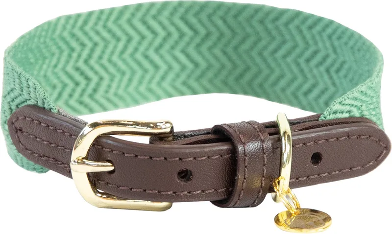 Dogwear - Jacquard Hondenhalsband - Maat L - 62cm - Hondenriem van Kentucky Horsewear in Olijfgroen – productfoto