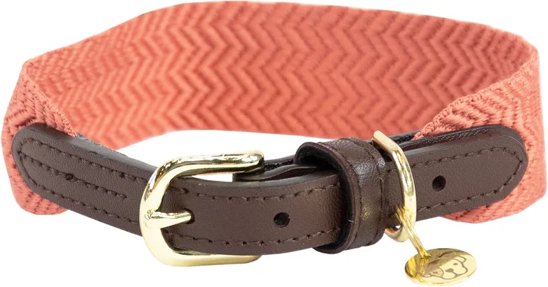 Dogwear - Jacquard Hondenhalsband - Maat M/L - 58cm - Hondenriem by Kentucky Horsewear in Terracotta – product photo