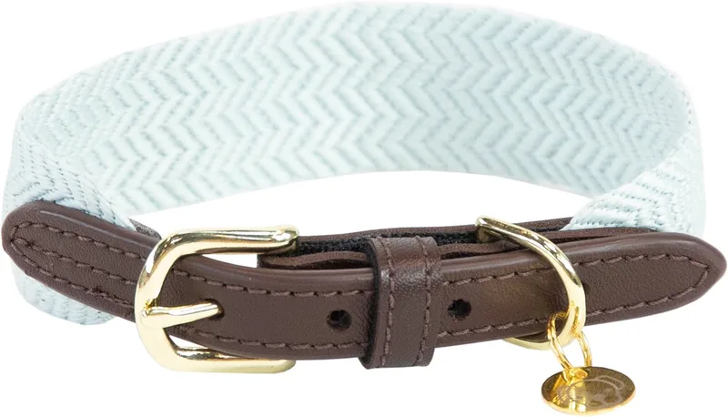 Dogwear - Jacquard Hondenhalsband - Maat S - 42cm - Hondenriem de Kentucky Horsewear en Bleu clair – photo produit
