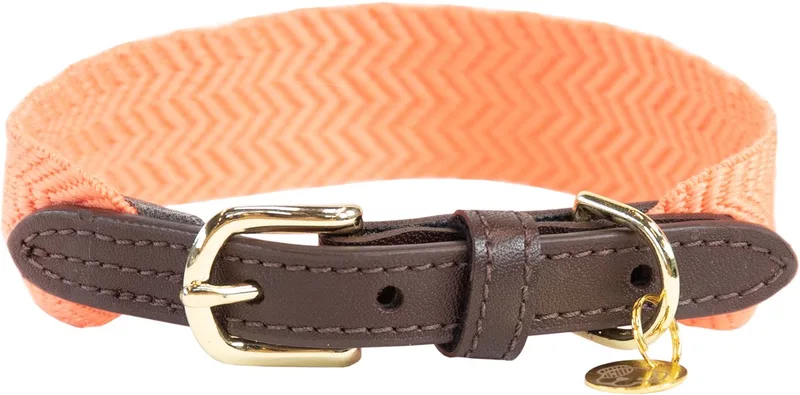 Dogwear - Jacquard Hondenhalsband - Maat S - 42cm - Hondenriem de Kentucky Horsewear en Neon Oranje – photo produit