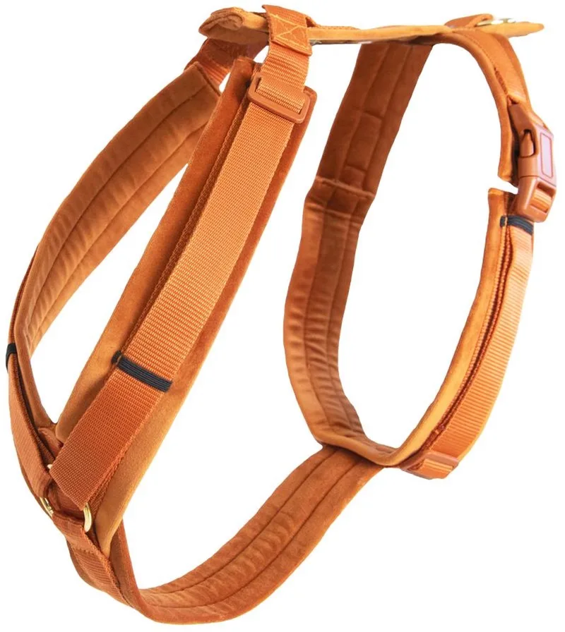 Dogwear by Kentucky Horsewear in Orange – product photo