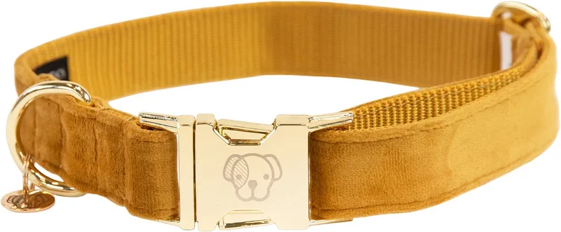Dogwear Velvet Halsband / Hondenhalsband - Maat: L - Nekomtrek: 42 - 68 cm van Kentucky Horsewear in Mosterd – productfoto