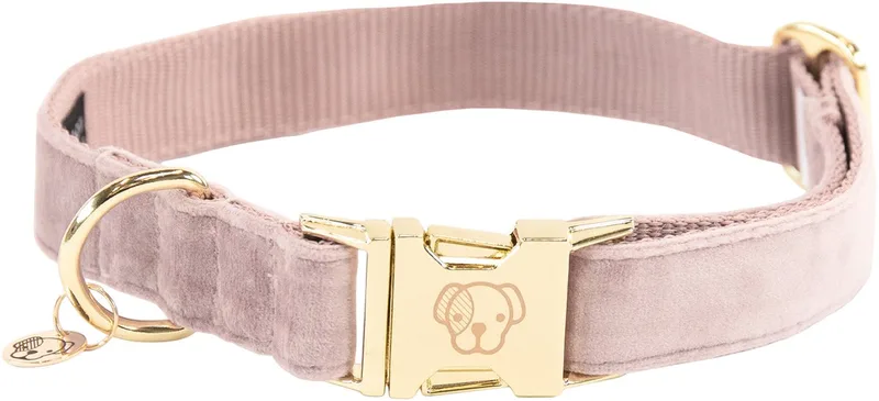 Dogwear - Velvet Hondenhalsband - Lichtroze - Maat XL - 45-75cm - Hondenriem fra Kentucky Horsewear i Lyserød – produktbillede