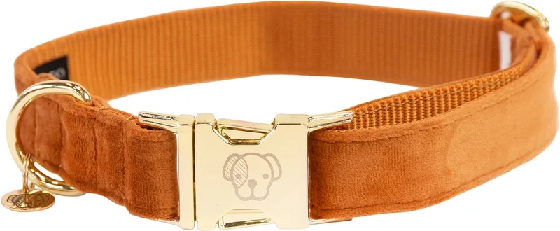 Dogwear - Velvet Hondenhalsband - Maat M - 36-52cm - Hondenriem by Kentucky Horsewear in Orange – product photo