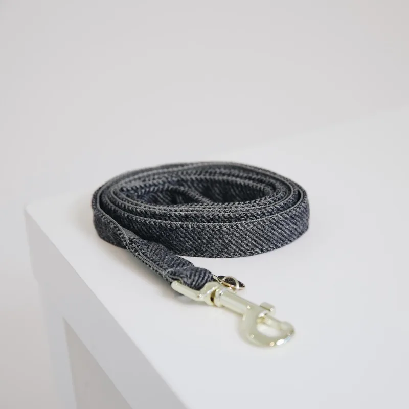 Dogwear Wool Hondenriem / Hondenlijn - Microvezel-Nylon - Breedte: 2 cm - Lengte: 120 cm by Kentucky Horsewear in Grey – product photo