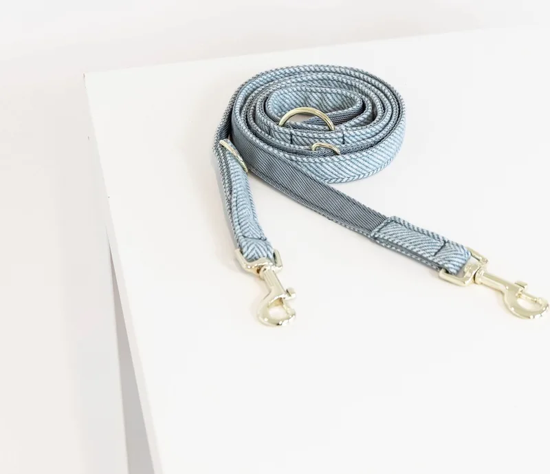 Dogwear Wool Verstelbare Hondenriem / Hondenlijn - Microvezel-Nylon - Breedte: 2 cm - Maximale lengte: 200 cm by Kentucky Horsewear in Light blue – product photo
