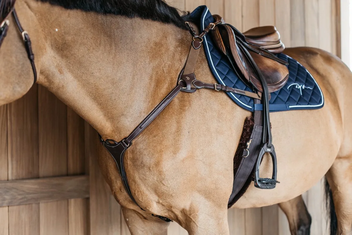 Dy'on - 5-punts borsttuig met elastiek de Kentucky Horsewear en Marron – photo produit