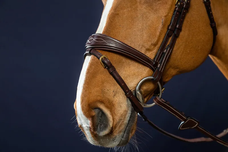 Dy'on - Anatomisch gecombineerd hoofdstel DY by Kentucky Horsewear in Brown – product photo