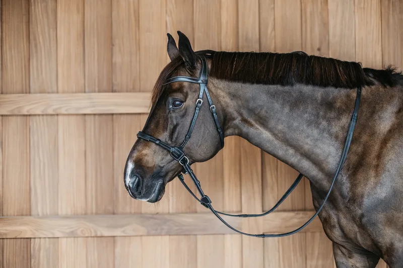 Dy'on - Bitloos Hoofdstel WO de Kentucky Horsewear en Noir – photo produit