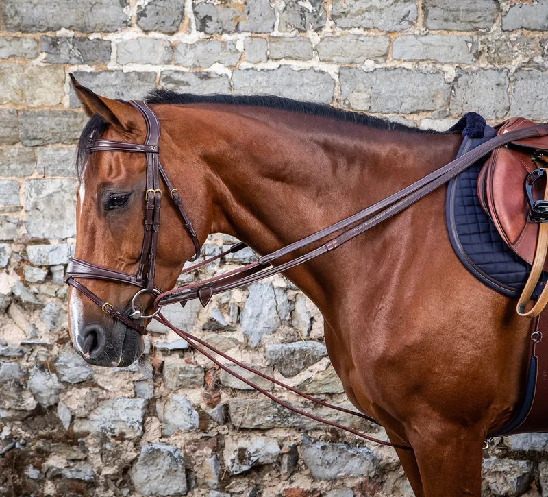 Dy'on - Dy'on Leather/Nylon Draw Reins 5/8 - D Collection - Brown - Maat Full by Kentucky Horsewear in Brown – product photo