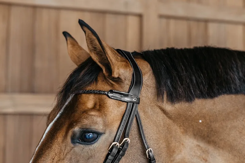 Dy'on - Dy'on - Rond Gevlochten Hoofdstel - Full - Bruin - Afneembare sperriem von Kentucky Horsewear in Schwarz – Produktfoto