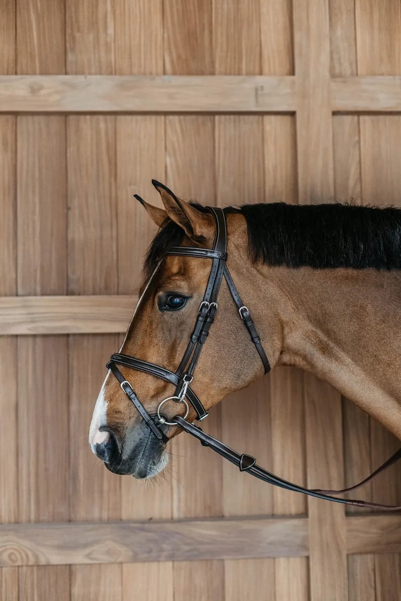 Dy'on - Gecombineerd Hoofdstel met clips WO von Kentucky Horsewear in Braun – Produktfoto