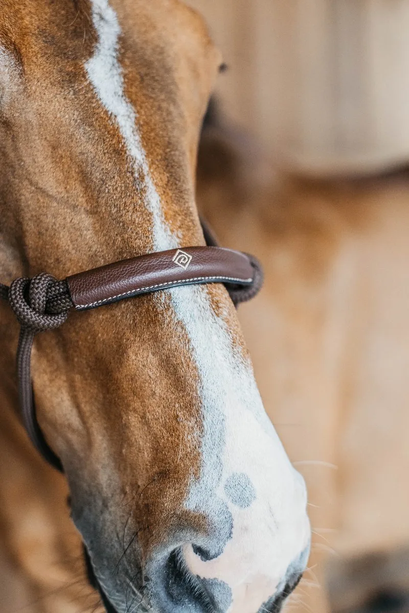 Dy'on - Training Halster by Kentucky Horsewear in Brown – product photo