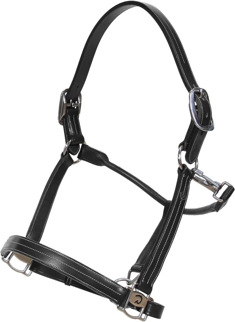Dy'on - US halster WO coll, Pony/zwart de Kentucky Horsewear en Noir – photo produit