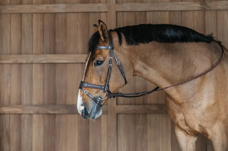 Dy'on - Working Motion Hoofdstel WO de Kentucky Horsewear en Marron – photo produit