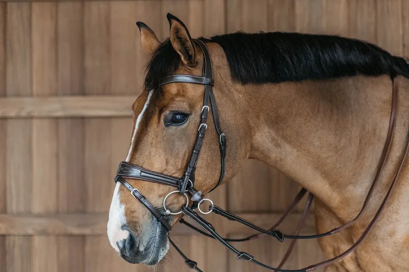 Dy'on - Working Motion Hoofdstel WO by Kentucky Horsewear in Brown – product photo