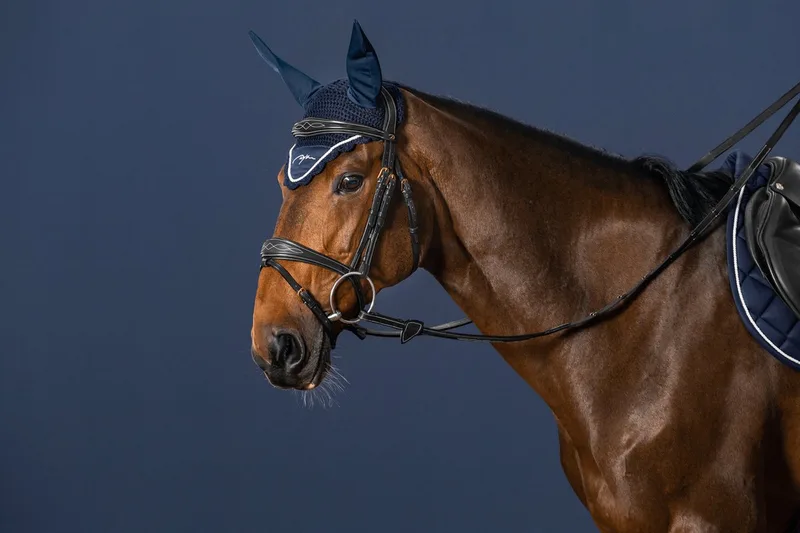 Gecombineerd Hoofdstel PONY - Dy'on Leer de Kentucky Horsewear en Noir – photo produit