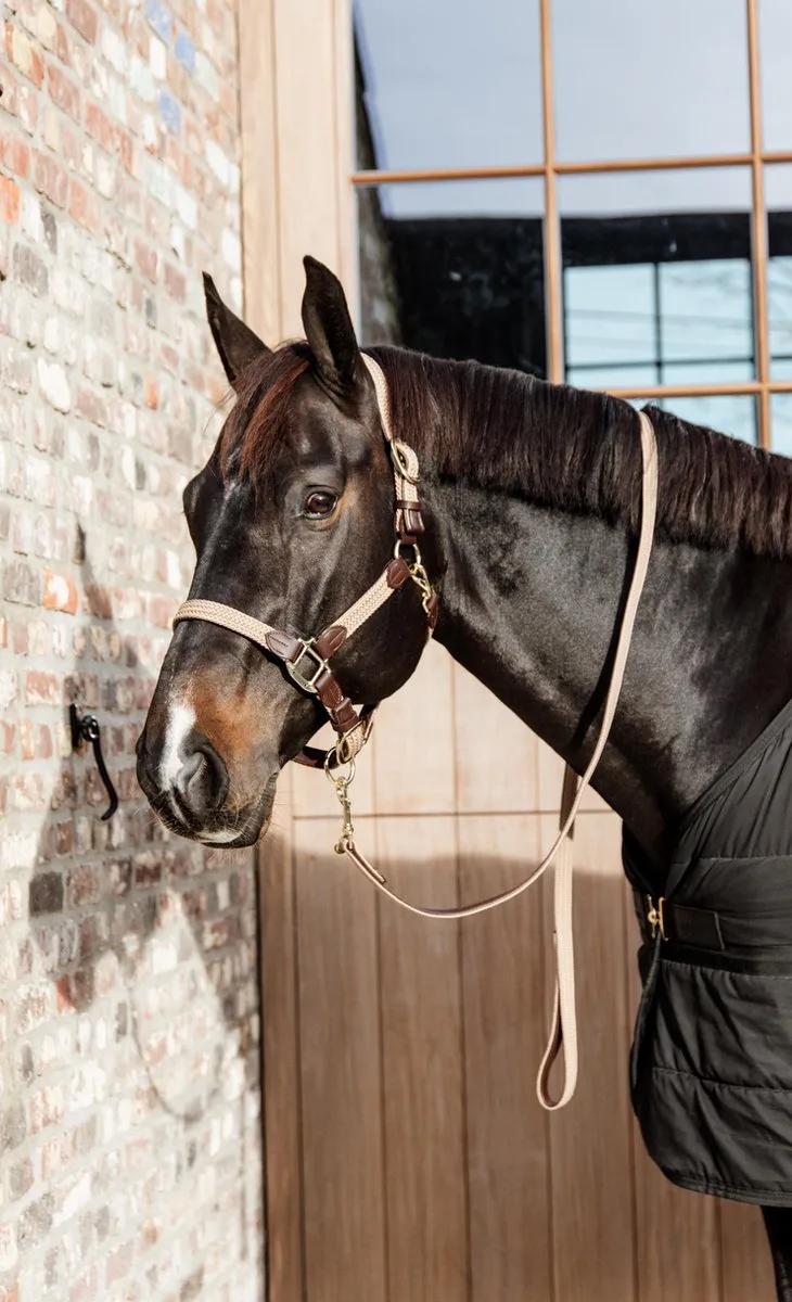 Gevlochten Nylon halster cob von Kentucky Horsewear in Beige – Produktfoto