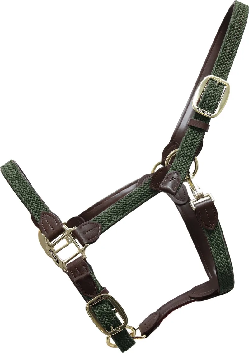 Gevlochten Nylon halster olive green full de Kentucky Horsewear en Olijfgroen – photo produit