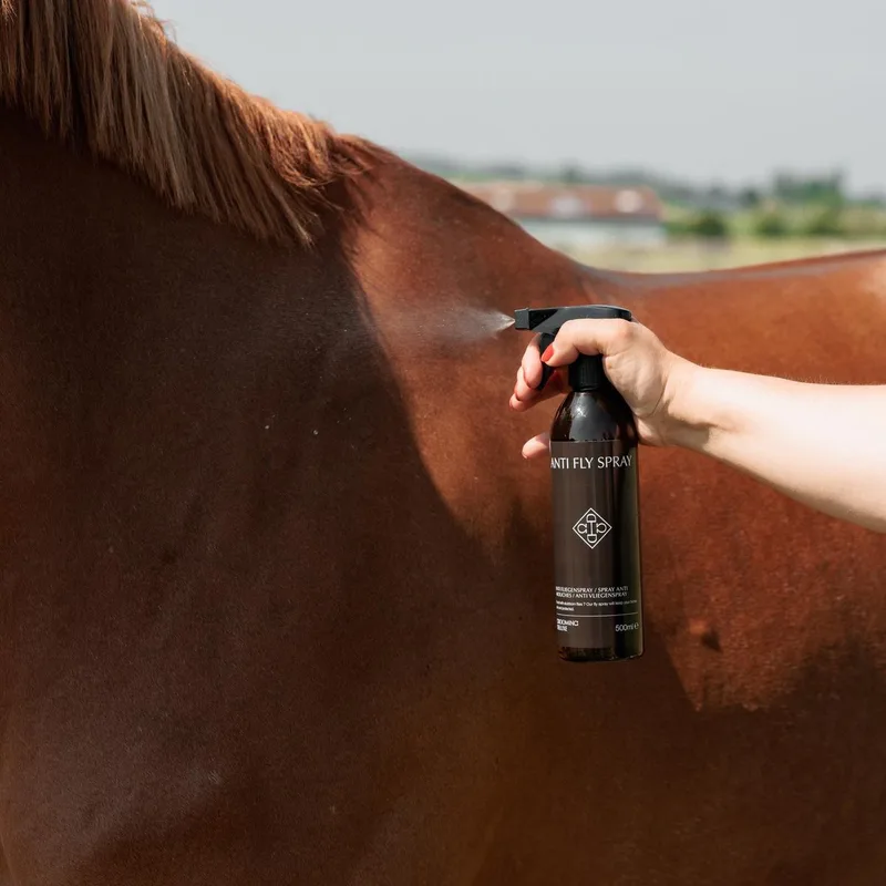 Grooming Deluxe - Anti vliegenspray 500ml de Kentucky Horsewear en Noir – photo produit