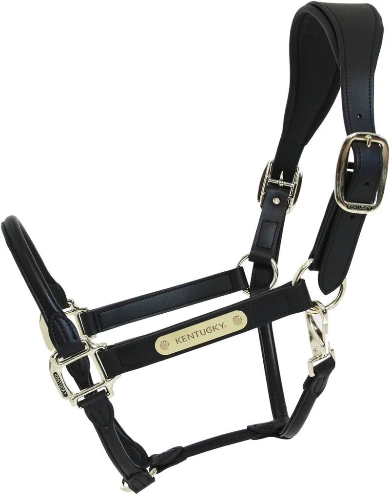 Halster - Anatomische Leder - Cob by Kentucky Horsewear in Black – product photo