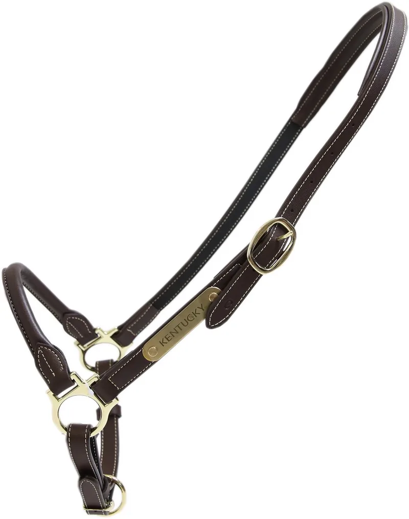 Halster Grooming - Middel by Kentucky Horsewear in Brown – product photo
