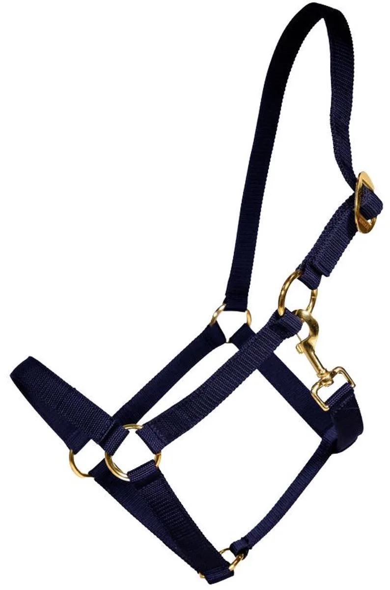 Halster nylon marine SH by Kentucky Horsewear in Marineblauw – product photo