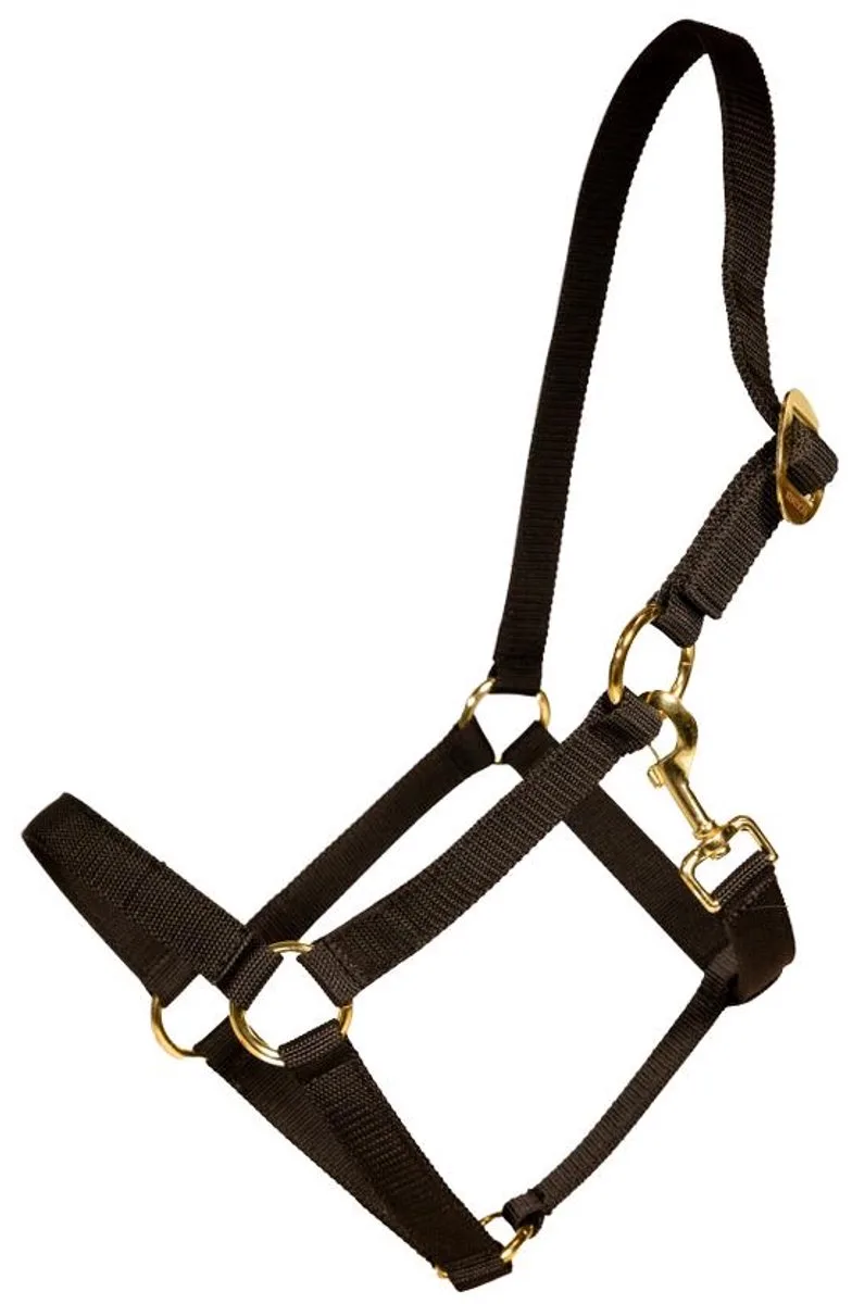 Halster nylon pony by Kentucky Horsewear in Black – product photo