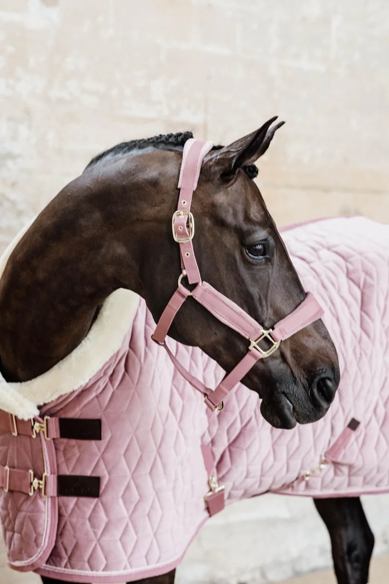 Halster - Velvet - Oud Roze - Full von Kentucky Horsewear in Oudroze – Produktfoto