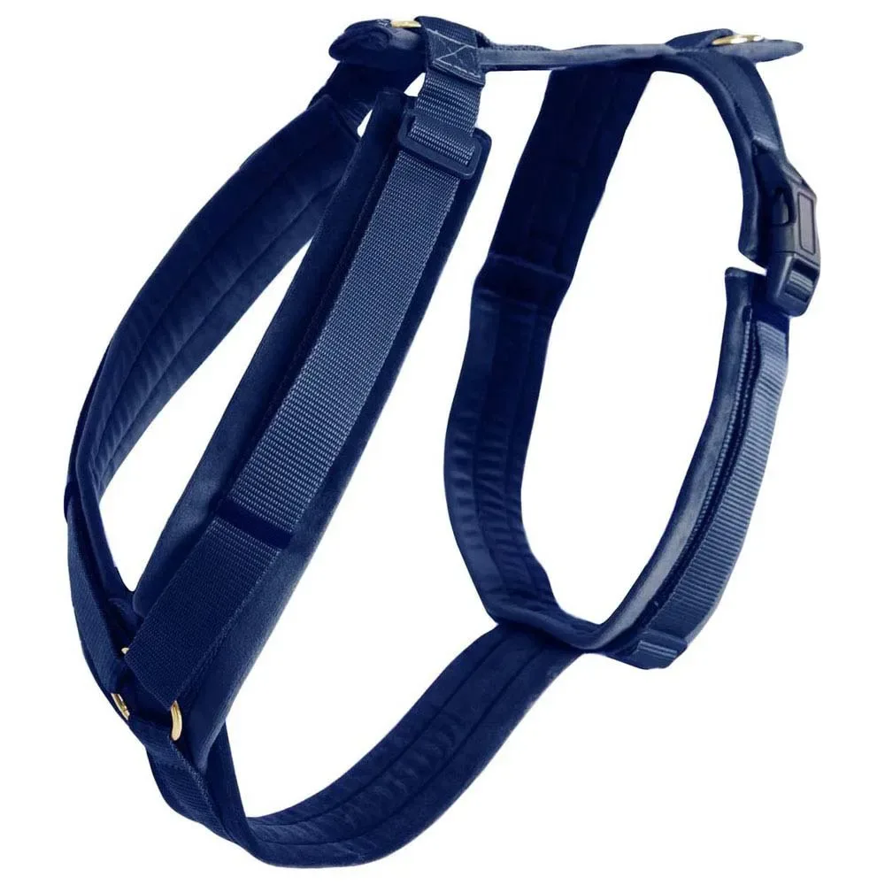 Harnais Pour Chien Active Velvet fra Kentucky Horsewear – produktbillede