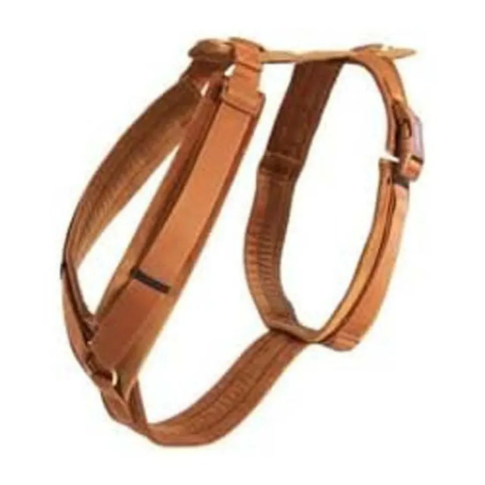 Harnais Pour Chien Active Velvet fra Kentucky Horsewear – produktbillede