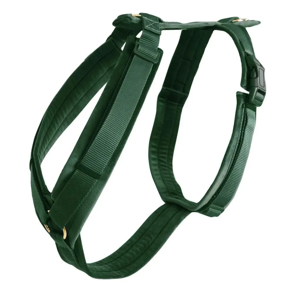 Harnais Pour Chien Active Velvet från Kentucky Horsewear – produktbild