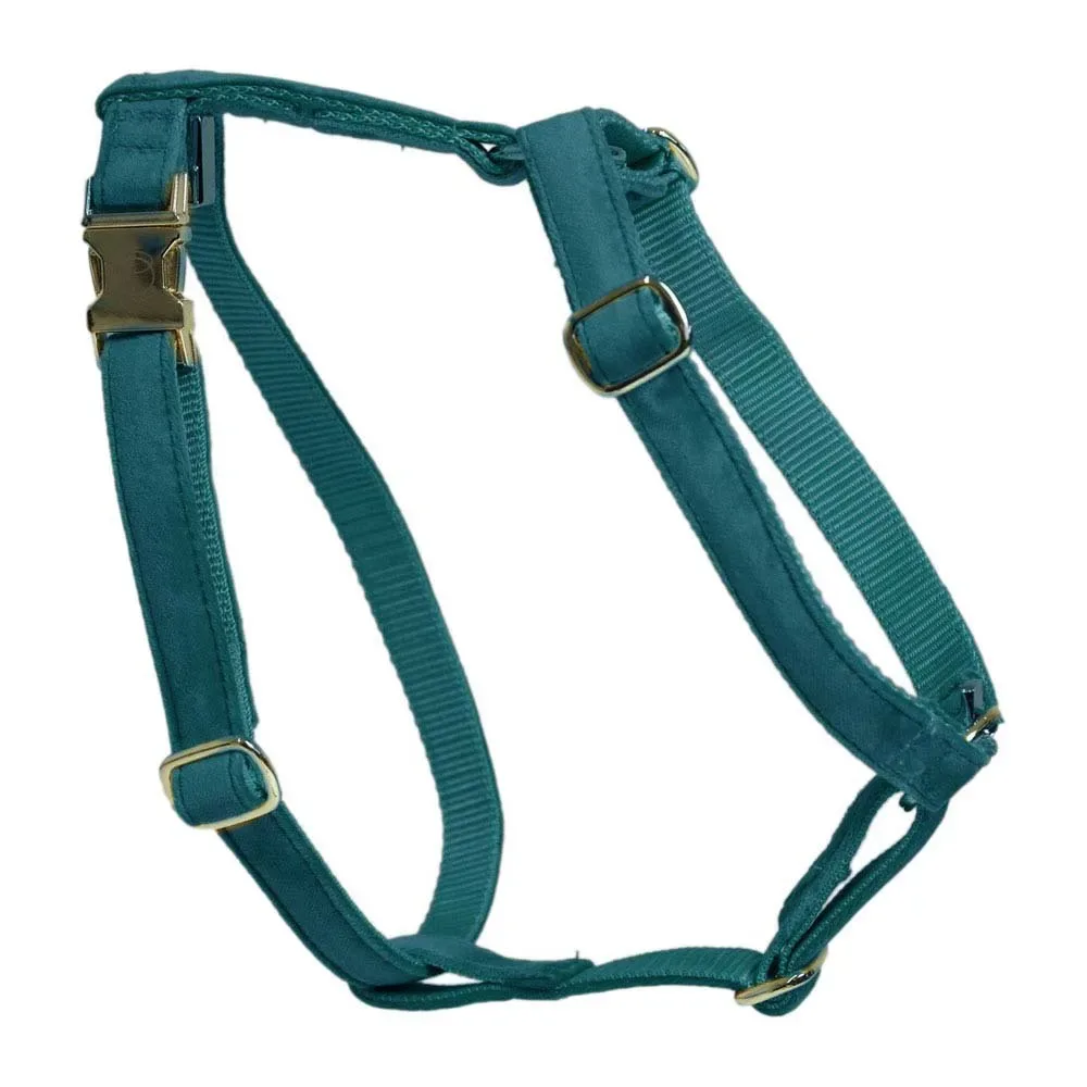Harnais Pour Chien Loop Velvet fra Kentucky Horsewear – produktbillede