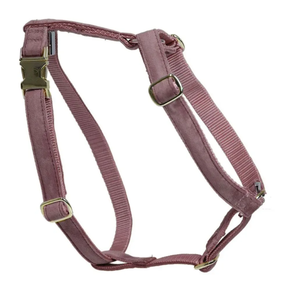 Harnais Pour Chien Loop Velvet fra Kentucky Horsewear – produktbillede