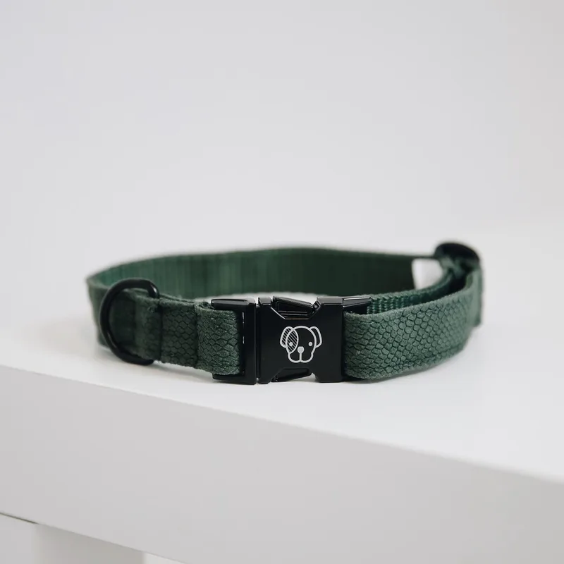 Hondenhalsband Hagedissenprint - L - 42-68cm by Kentucky Horsewear in Green – product photo