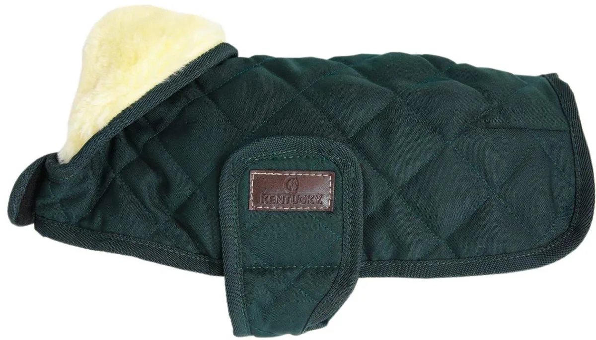 Hondenjas - S/M - 39-43cm de Kentucky Horsewear en Vert foncé – photo produit