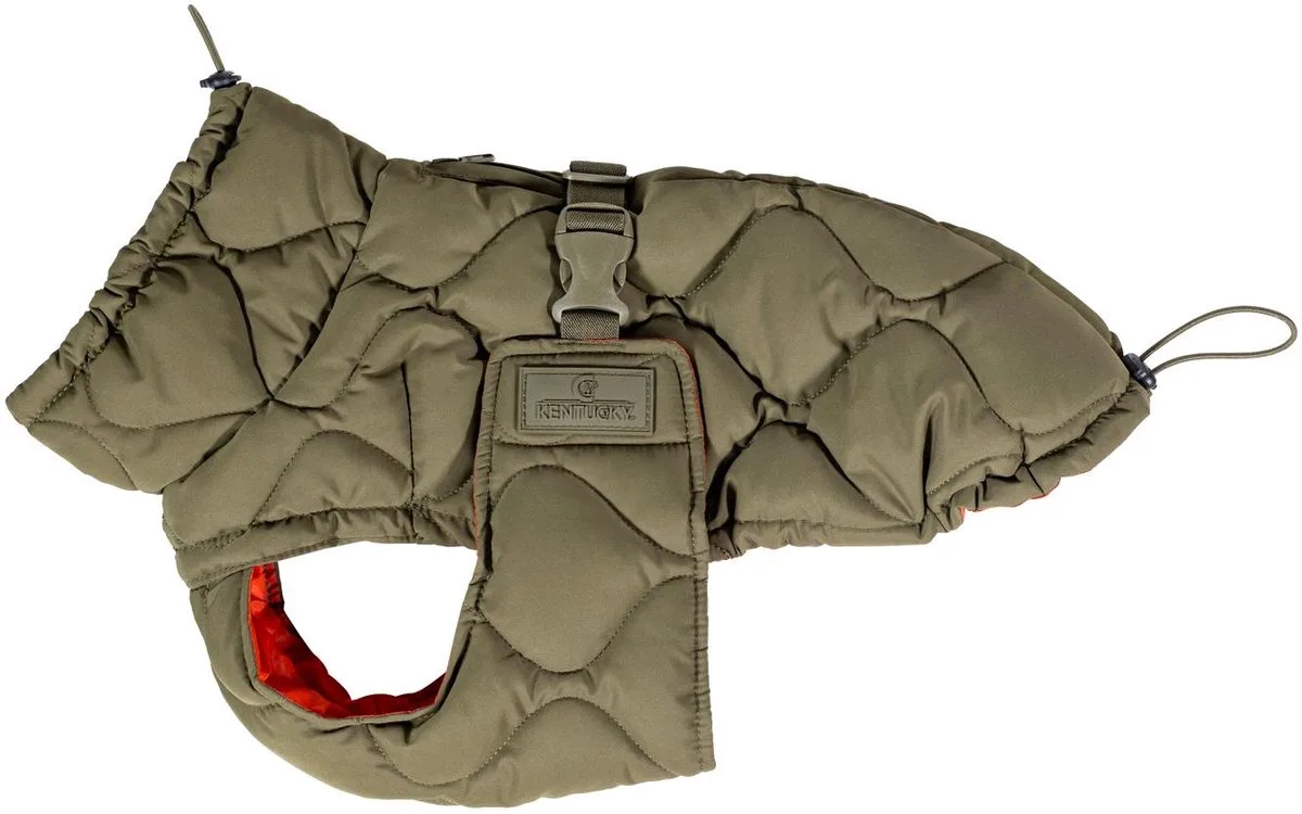 Kentucky Manteau Pour Chien Winter Pina de Kentucky Horsewear en Dennengroen – photo produit