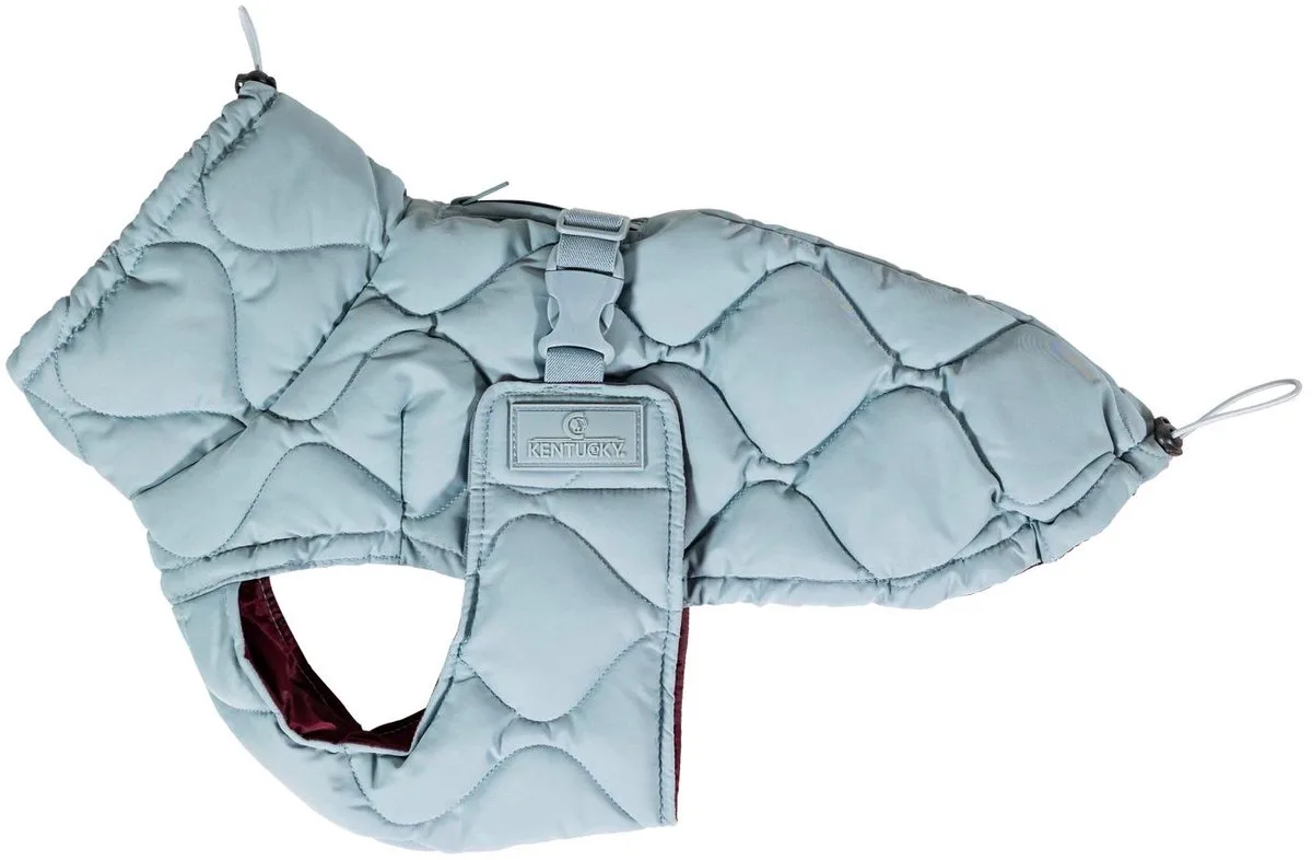 Hondenjas winter Pina dusty blue 160g S 32-38cm van Kentucky Horsewear in Dusty Blauw – productfoto