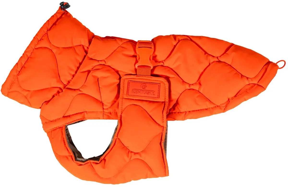 Hondenjas winter Pina orange 160g XS 29-33cm van Kentucky Horsewear in Oranje – productfoto