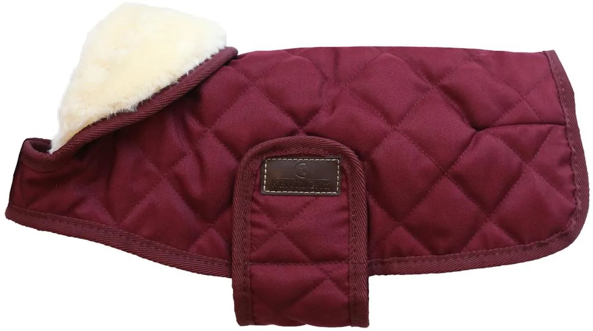 Hondenjas - XL - 60-70cm de Kentucky Horsewear en Bordeaux – photo produit