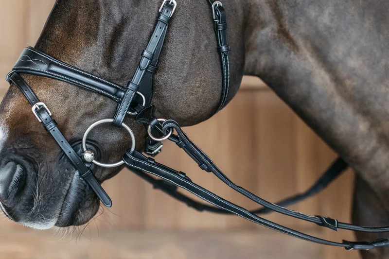 Hoofdstel OVER - Buffelleer von Kentucky Horsewear in Schwarz – Produktfoto