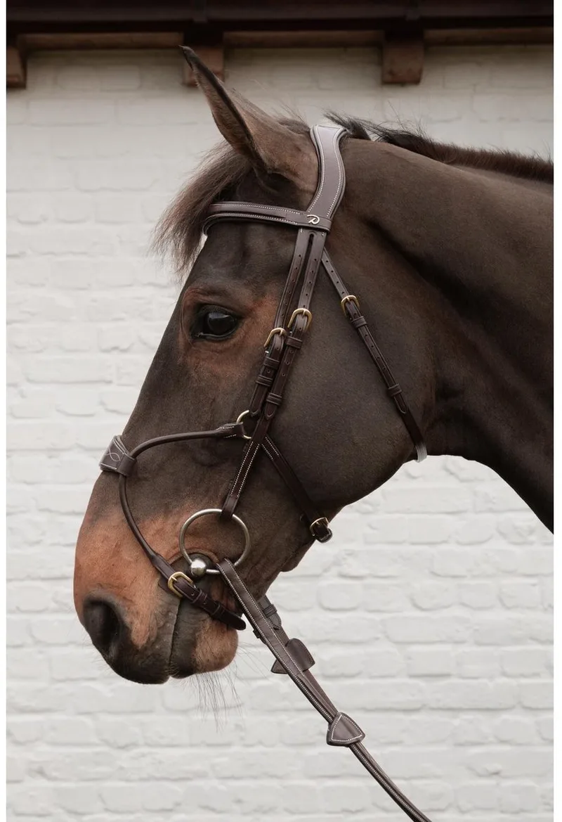 Hybride hoofdstel DY coll, Over/bruin de Kentucky Horsewear en Marron – photo produit