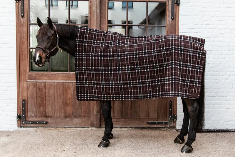 Kentuckt Horsewear - Fleecedeken - Heavy Square - Printing - 210x200cm von Kentucky Horsewear in Braun – Produktfoto