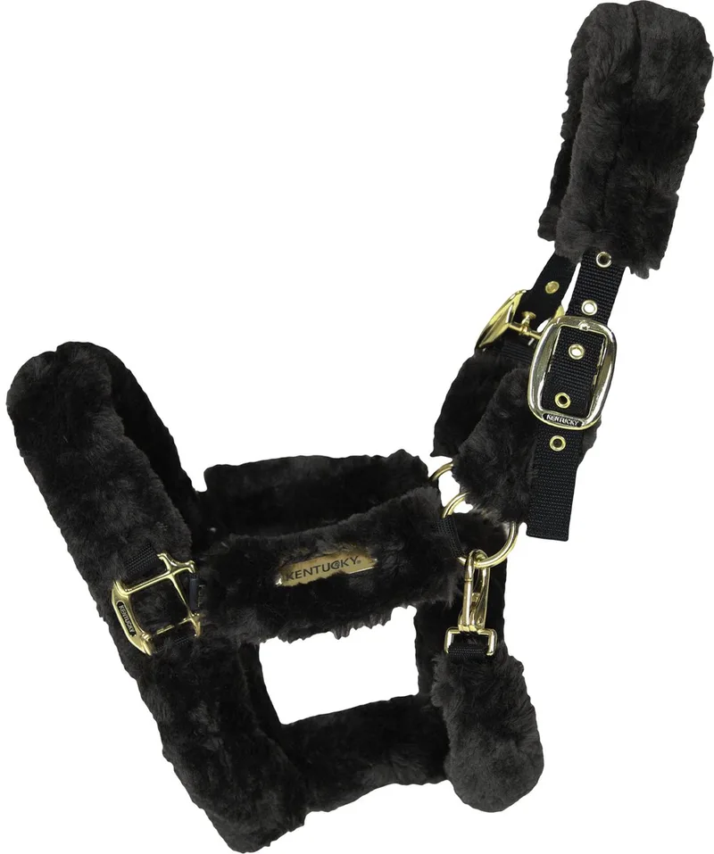 Kentucky Horsewear Halster Bont Transport - Cob de Kentucky Horsewear en Noir – photo produit