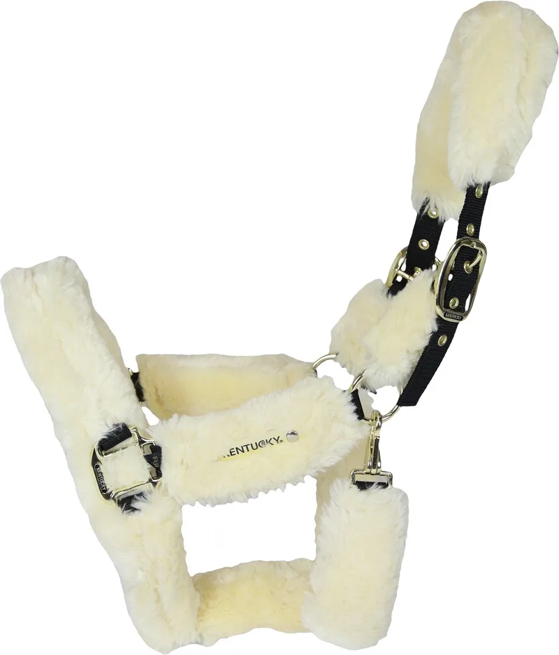 Kentucky Horsewear Halster Bont Transport de Kentucky Horsewear en Naturel – photo produit