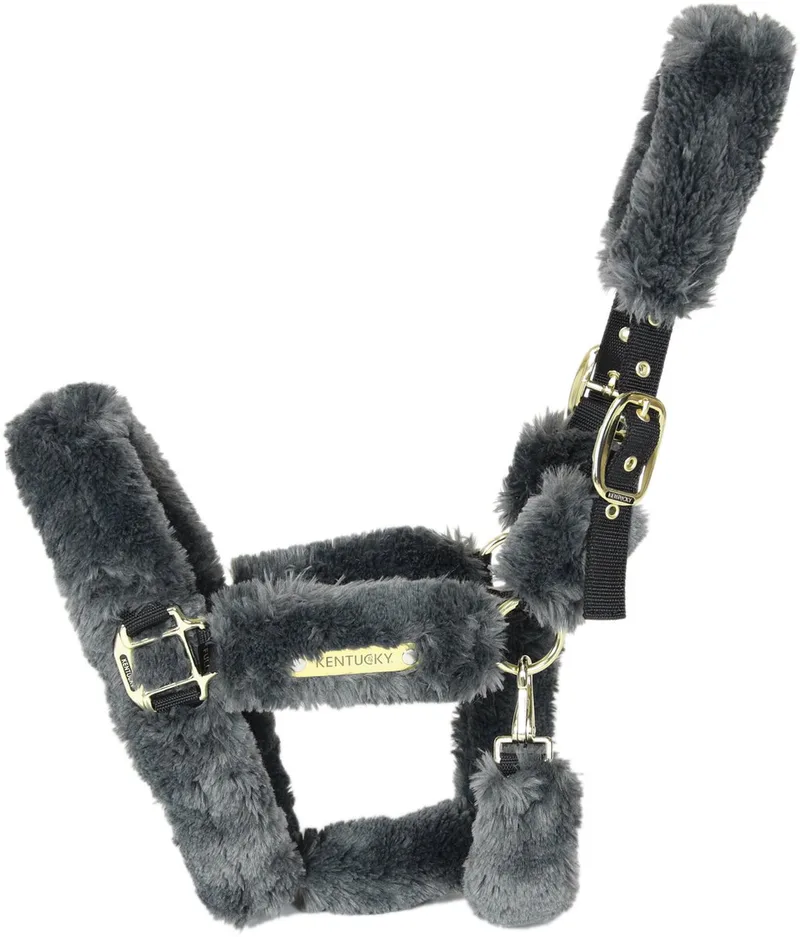 Kentucky Horsewear Halster - Wol - Medium by Kentucky Horsewear in Grey – product photo
