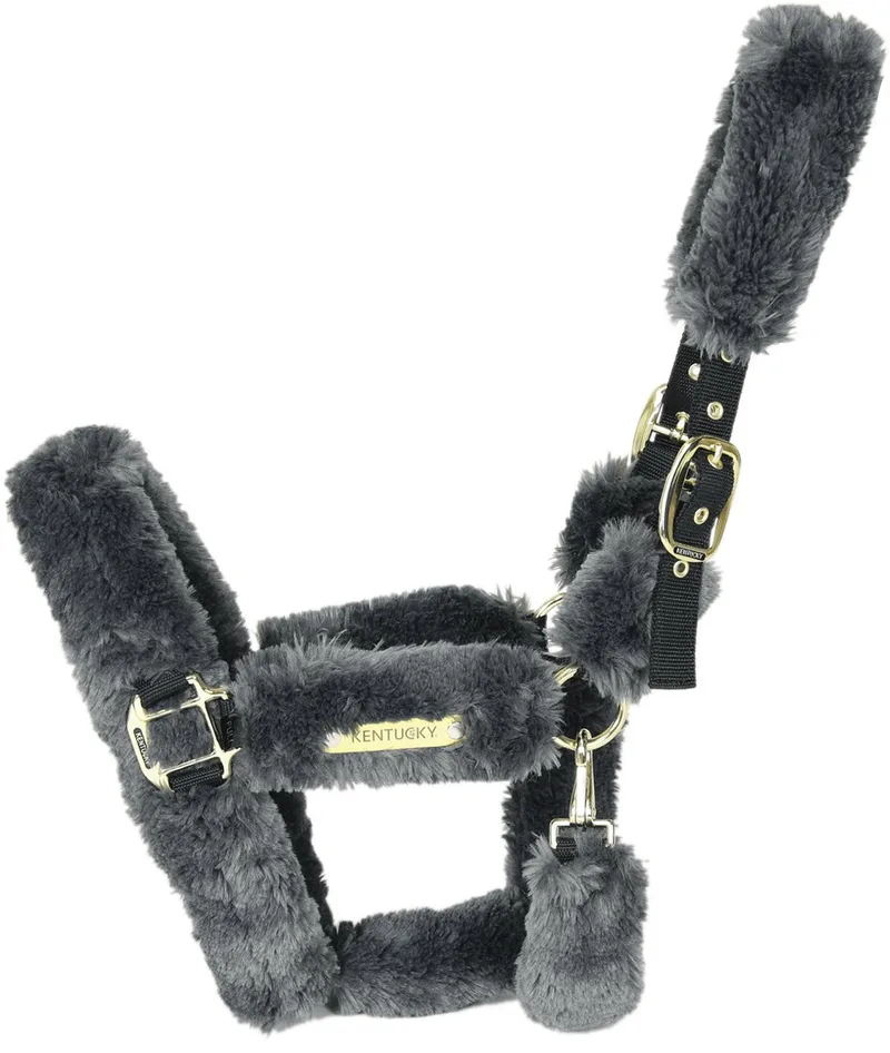 Kentucky Horsewear Halster - Wol - Pony de Kentucky Horsewear en Gris – photo produit